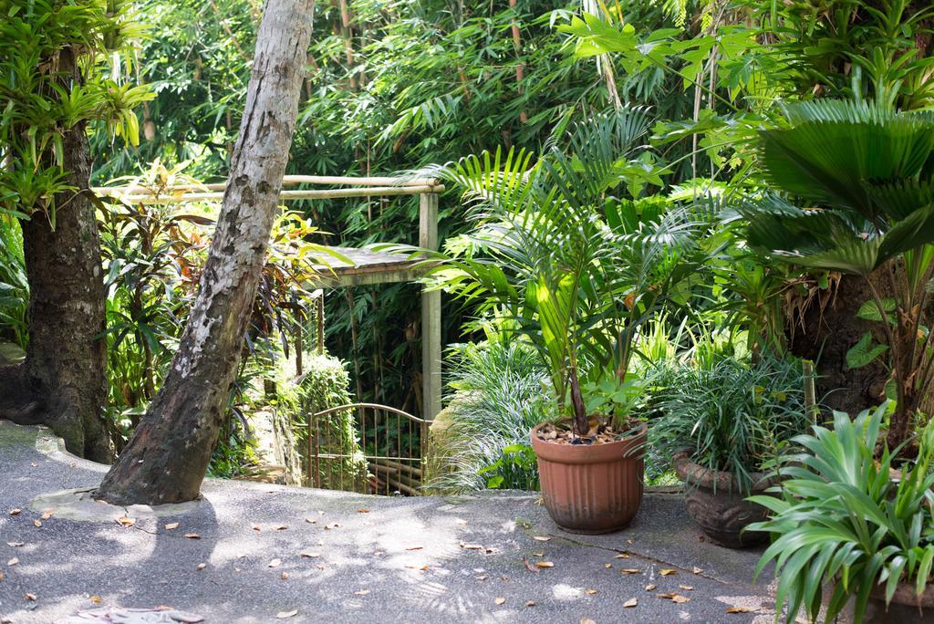 Serenity House Hotel Ubud Kültér fotó