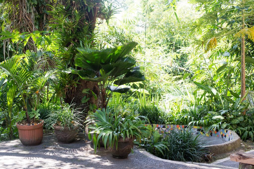 Serenity House Hotel Ubud Kültér fotó