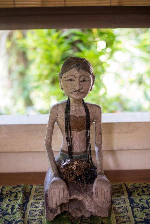 Serenity House Hotel Ubud Kültér fotó
