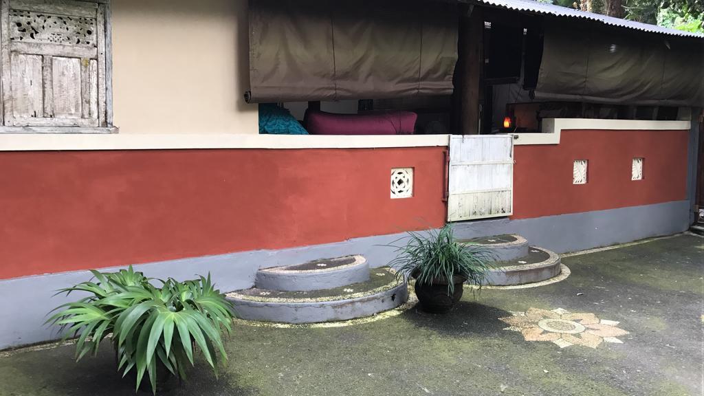 Serenity House Hotel Ubud Kültér fotó
